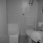 Mendula * Rogač