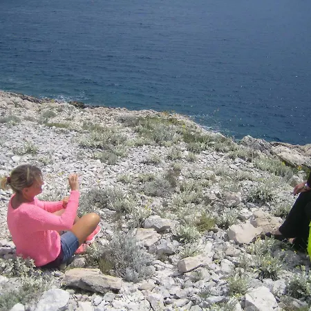 Mendula * Rogač